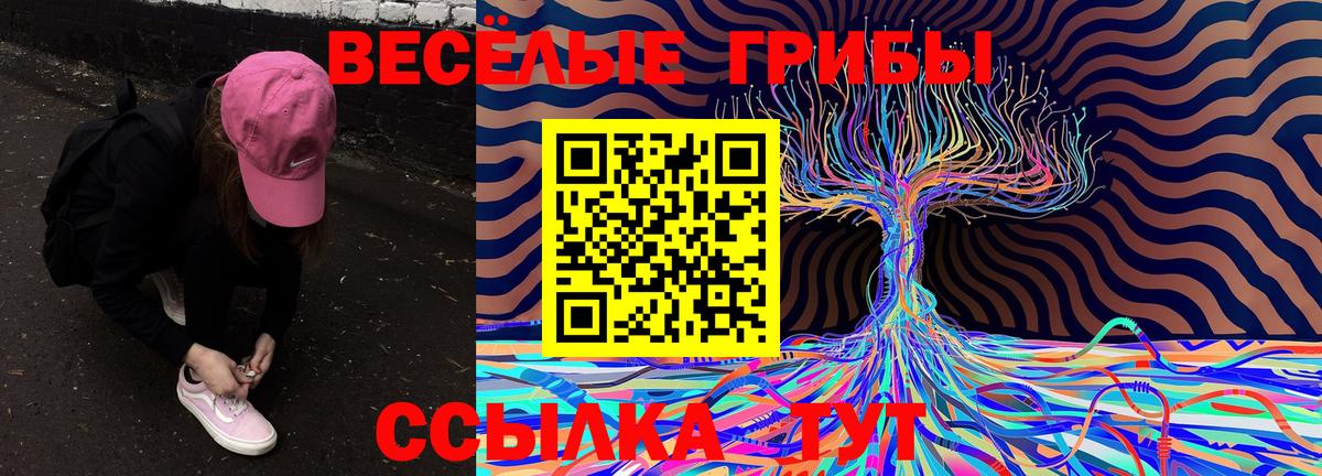 Псилоцибиновые грибы GOLDEN TEACHER Кызыл
