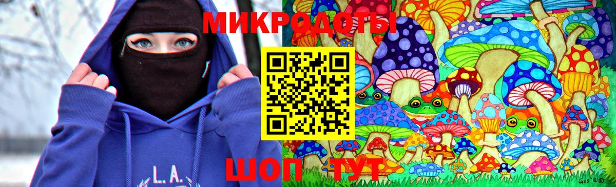 Кызыл  Псилоцибиновые грибы Psilocybine cubensis  Вход с VPN 